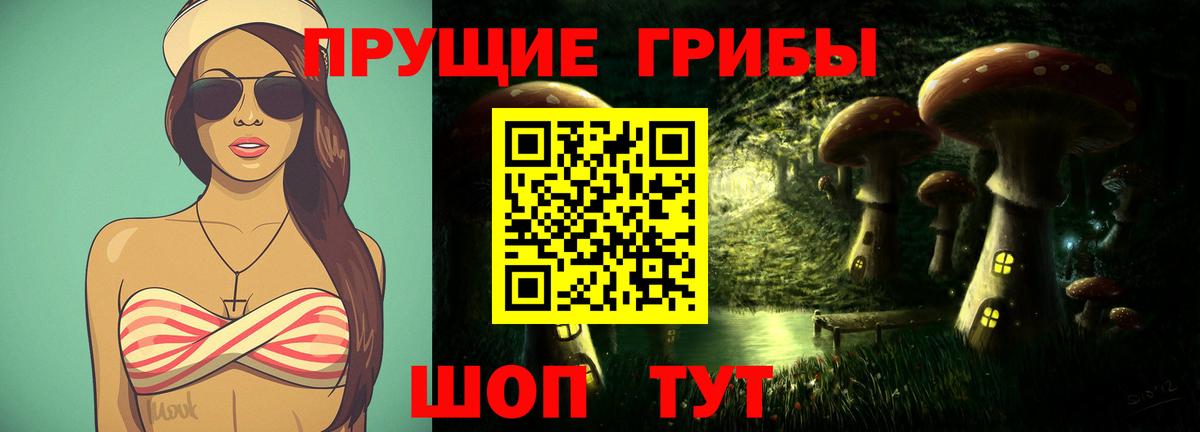 Псилоцибиновые грибы Psilocybe Богданович
