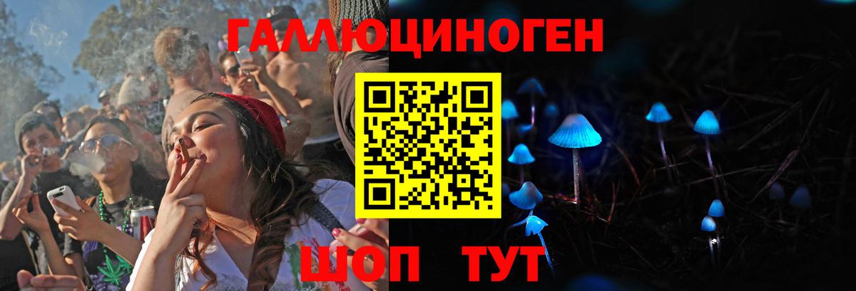 Богданович  Галлюциногенные грибы MAGIC MUSHROOMS  Псилоцибиновые грибы GOLDEN TEACHER  Вход с VPN 